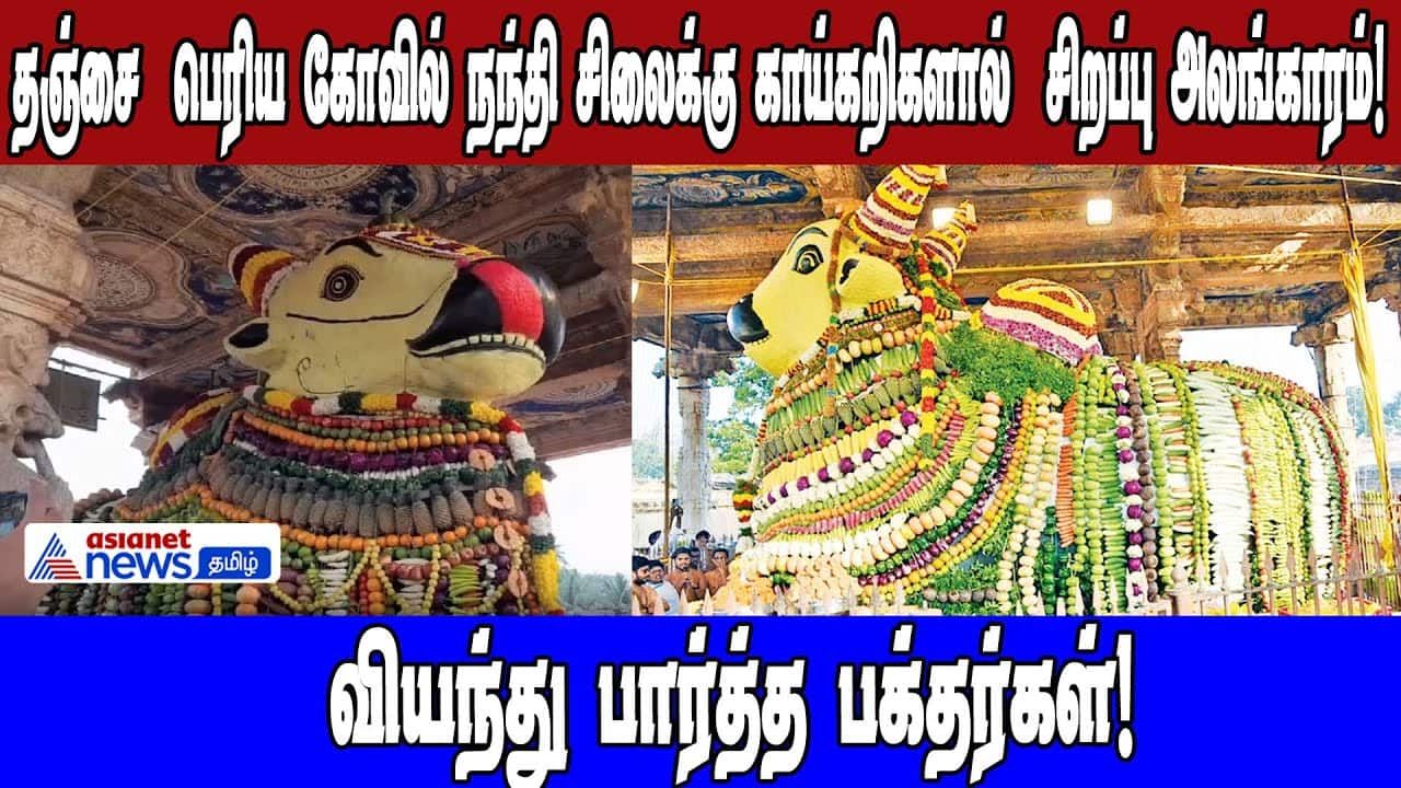 Thanjavur Big Temple Nandi Adorned with 2000kg of Offerings