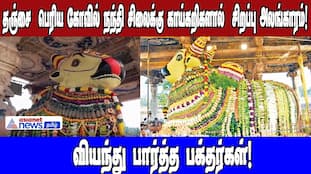 Thanjavur Big Temple Nandi Adorned with 2000kg of Offerings