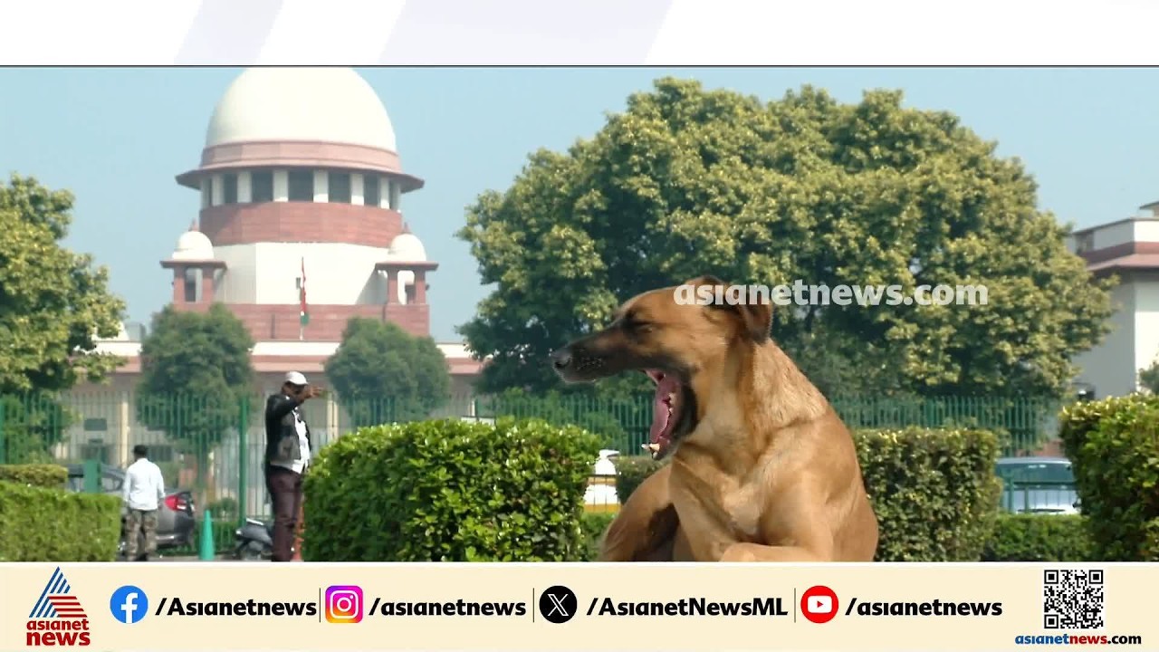 തെരുവ് നായ നിയന്ത്രണത്തിന് അടിയന്തര നടപടികൾ നിര്‍ദേശിച്ച് സര്‍ക്കാര്‍ സര്‍ക്കുലര്‍