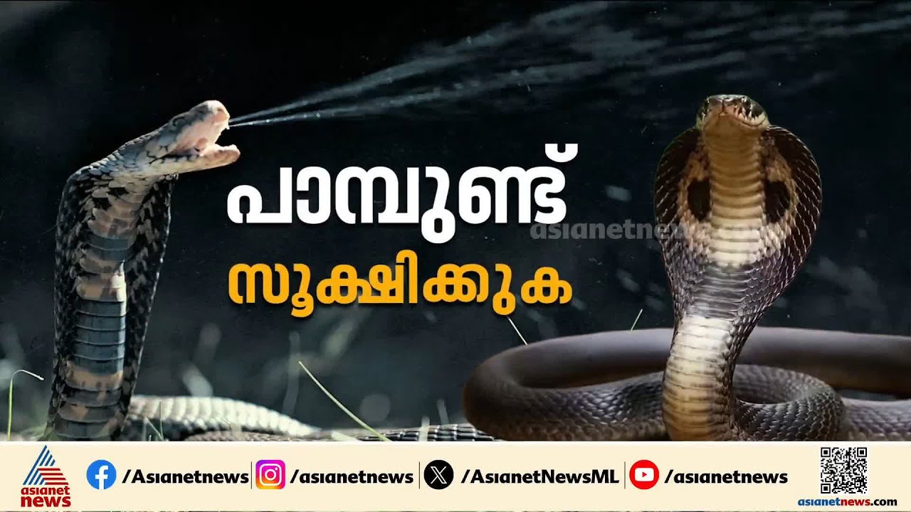 ദിക്ഷലിന്റെ മരണം; ആശുപത്രിക്ക് വീഴ്ച പറ്റിയിട്ടില്ലെന്ന് സൂപ്രണ്ട്, DMOക്ക് റിപ്പോർട്ട് നൽകി