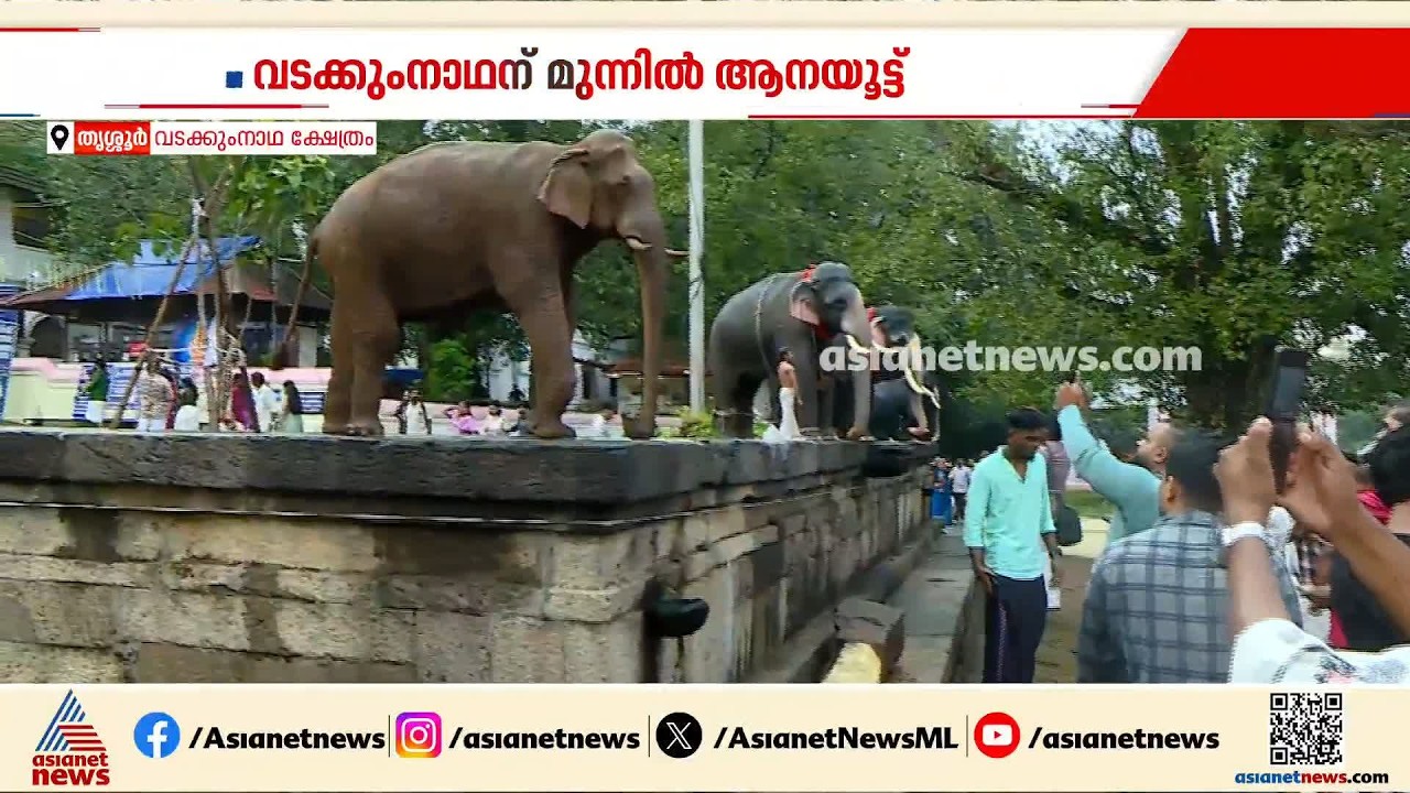 ആനയൂട്ടിന് ഒരുങ്ങി വടക്കുംനാഥ സന്നിധി; ചടങ്ങിന് സാക്ഷ്യം വഹിക്കാൻ നിരവധി പേർ
