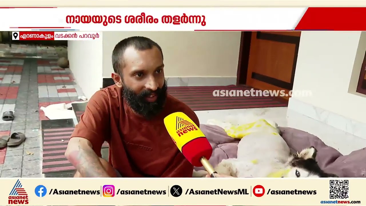 തളർന്നുവീണ വളർത്തുനായയ്ക്ക് നീതി തേടി മൃഗാശുപത്രിക്ക് മുന്നിൽ ഉടമയുടെ സമരം