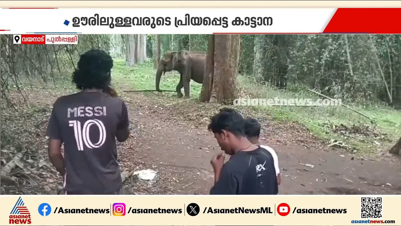 'ലക്ഷ്മി' ഞങ്ങളുടെ സുഹൃത്താണ്...' ചന്ദ്രോത്ത് ഉന്നതിയിലെ  അതിഥിയെ പരിചയപ്പെടാം