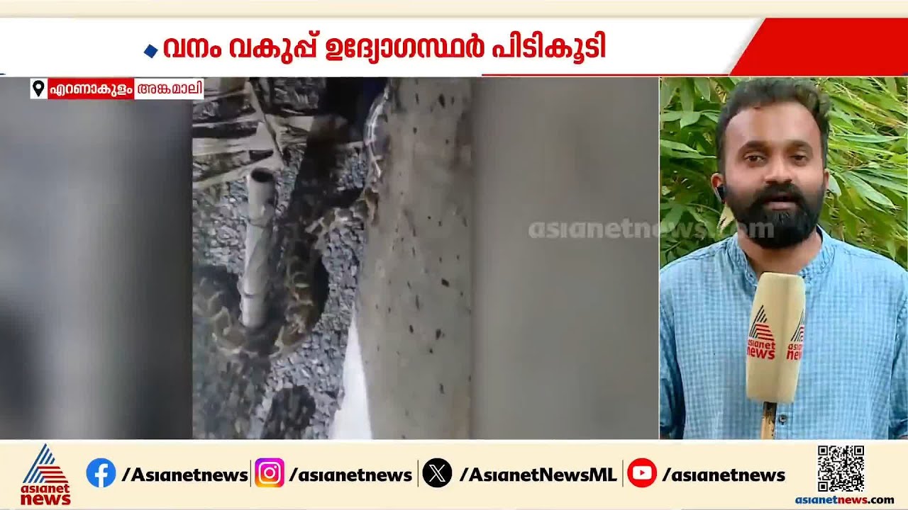 കേറി കേറി ഇതെങ്ങോട്ട്... ട്രാന്‍സ്‌ഫോമറിനുള്ളില്‍ മലമ്പാമ്പ്!