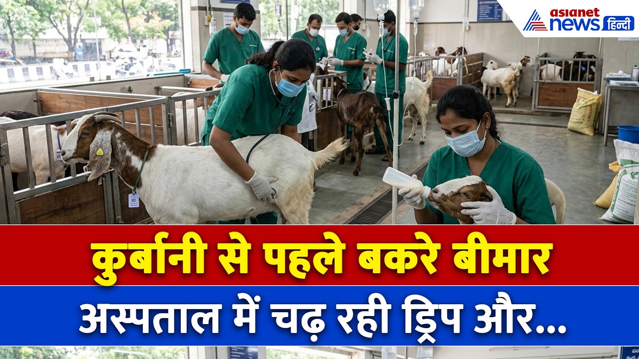 Bakrid Qurbani : बकरीद से पहले अस्पताल पहुंच गए बकरे, ड्रिप लगाकर हो रहा इलाज