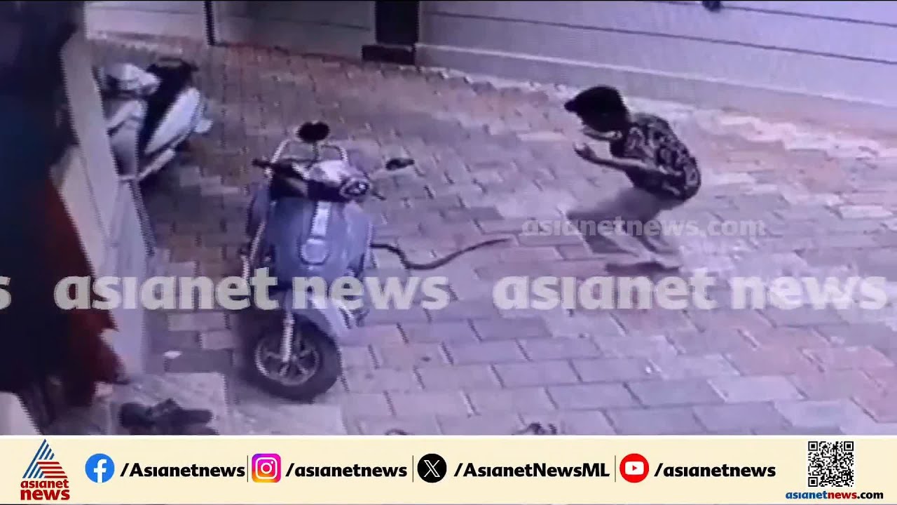 പാമ്പ് കടിയിൽ നിന്ന് തലനാരിഴയ്ക്ക് രക്ഷപ്പെട്ട് വിദ്യാർത്ഥി; ഞെട്ടിക്കുന്ന CCTV ദൃശ്യങ്ങൾ