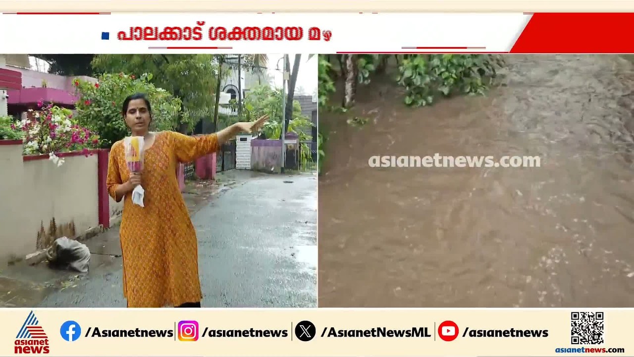 തോട് നിറഞ്ഞൊഴുകുന്നു; പാലക്കാട് ചൂടിന് ആശ്വാസമായി കനത്ത മഴ
