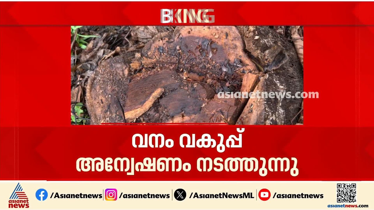 നിലമ്പൂർ മുത്തപ്പൻകുന്ന് വനഭൂമിയിൽ നിന്ന് മരങ്ങൾ കടത്തി; വനംവകുപ്പ് അന്വേഷണം തുടങ്ങി| Malappuram