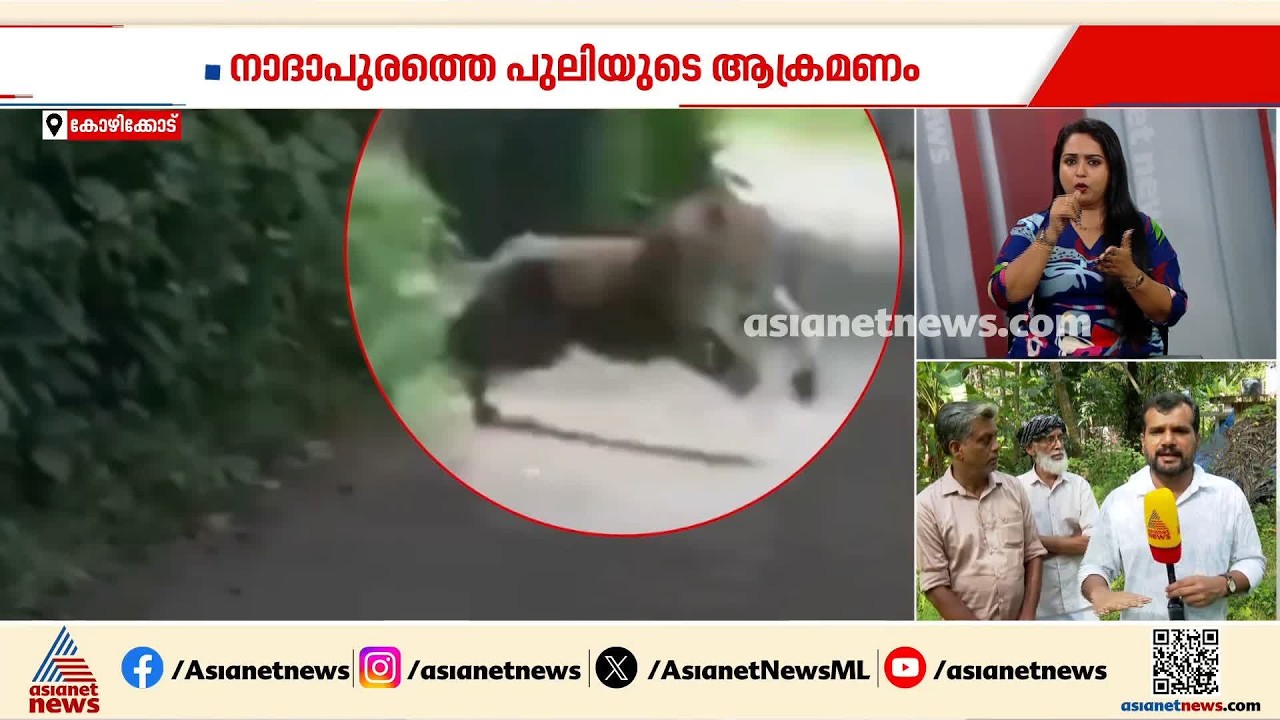 പുലിപ്പേടിയില്‍ നാദാപുരം; കുമ്മങ്കോട് കൂടൊരുക്കാന്‍ വനംവകുപ്പ്, നടപടി മന്ദഗതിയിലെന്ന് നാട്ടുകാര്‍