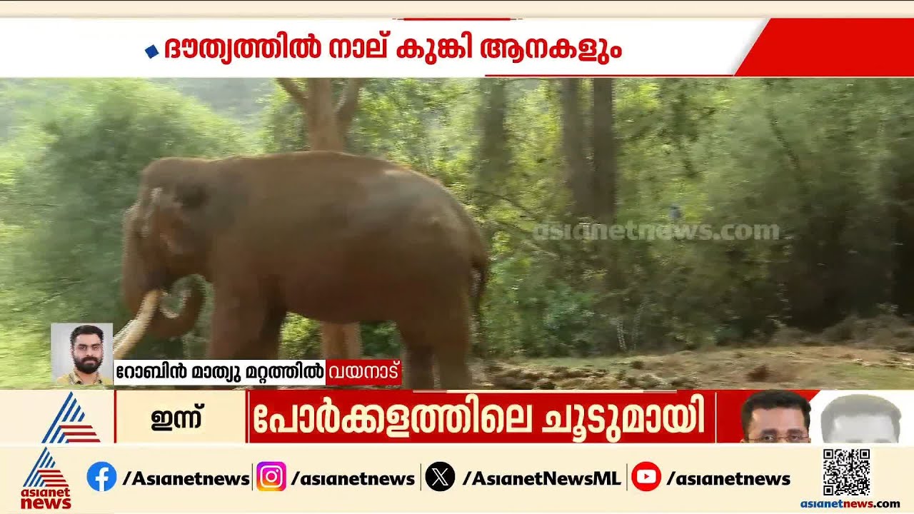 വടക്കനാട് ഇറങ്ങിയ കാട്ടാനയെ പിടികൂടാൻ ശ്രമം തുടരുന്നു; ദൗത്യത്തിൽ നാല് കുങ്കി ആനകൾ