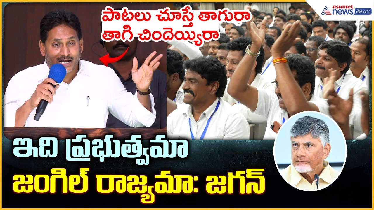 YS Jagan Comments on Chandrababu: ఇది ప్రభుత్వమా జంగిల్ రాజ్యమా:జగన్ | Asianet News Telugu