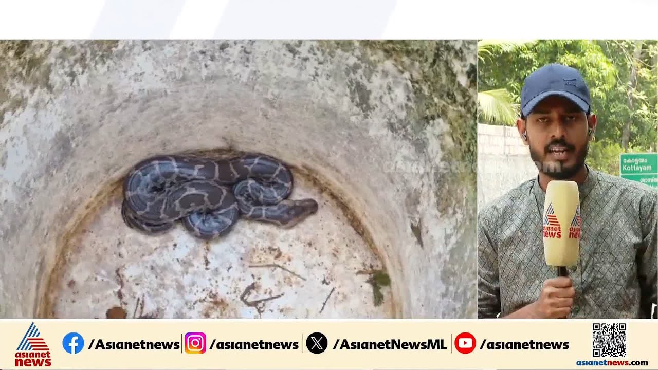 വീട്ടിൽ പെരുമ്പാമ്പിനെ തുടർച്ചയായ മൂന്നാം ദിവസവും കണ്ടെത്തി;സംഭവം പത്തനംതിട്ട കോന്നിയിൽ | Python