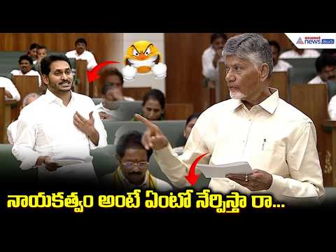 బుద్దిరాలేదు ఇంకా అసెంబ్లీలో చంద్రబాబు పంచ్ లు | CM Chandrababu vs YS Jagan | AP Assembly