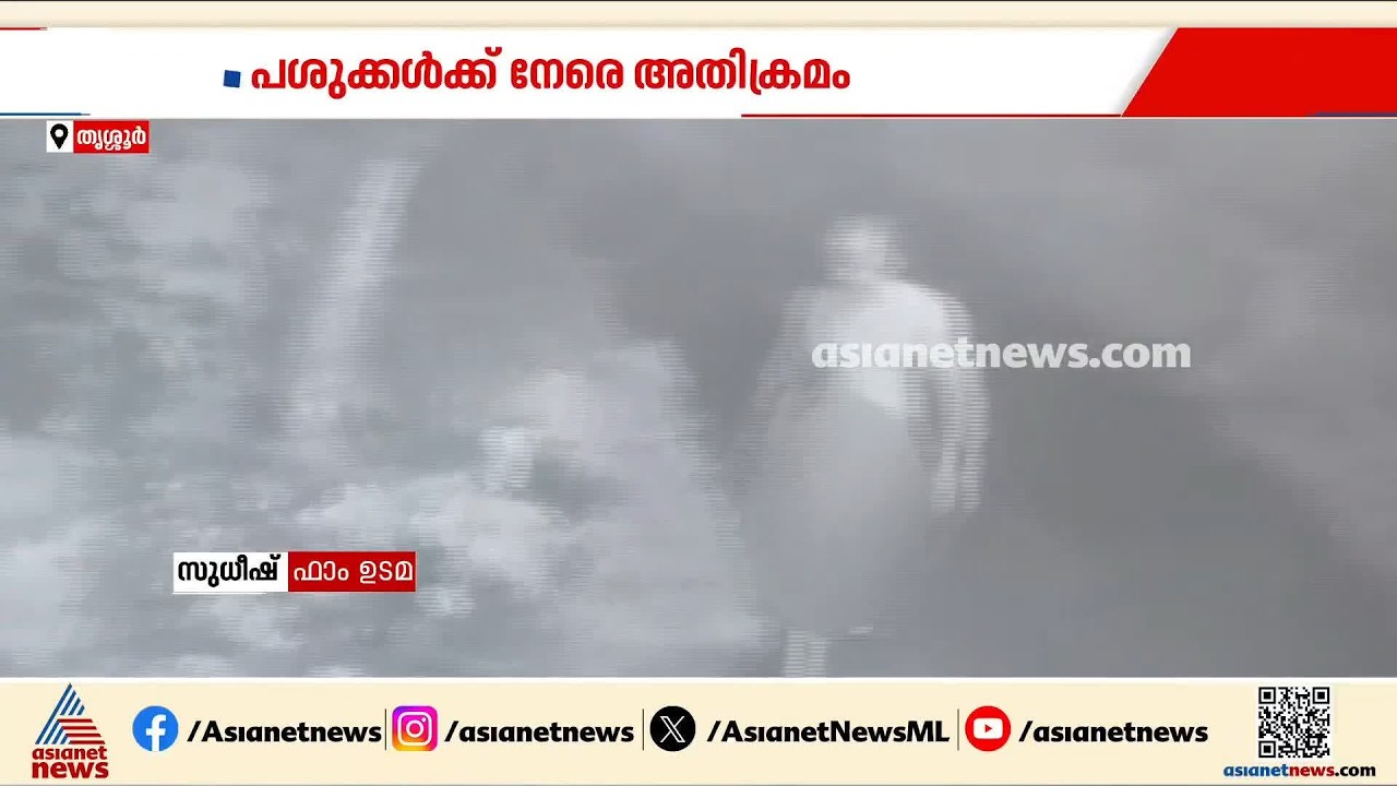 തൃശ്ശൂരില്‍ നഗ്നനായി എത്തിയ അജ്ഞാതന്‍ പശുക്കളെ പ്രകൃതി വിരുദ്ധ പിഡനത്തിന് ഇരയാക്കി | Thrissur
