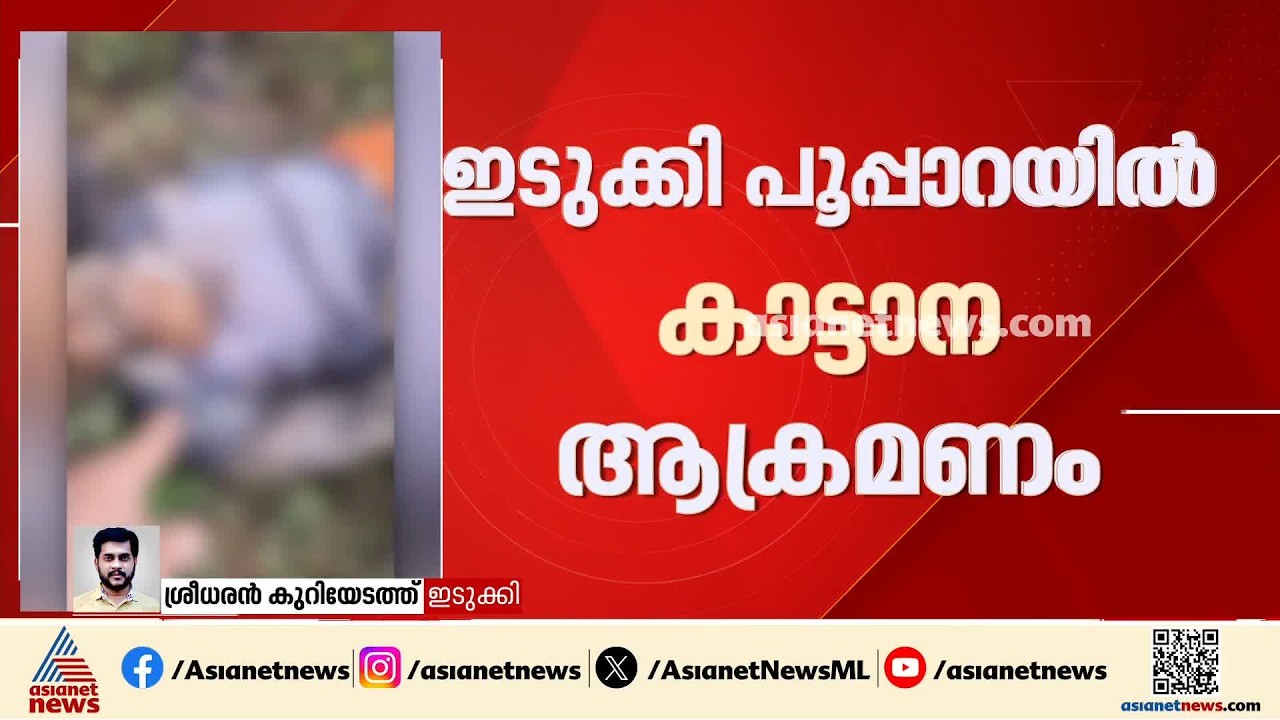 ഇടുക്കി പൂപ്പാറയിൽ കാട്ടാന ആക്രമണം; തോട്ടം തൊഴിലാളി മരിച്ചു| Idukki | Wild Elephant Attack