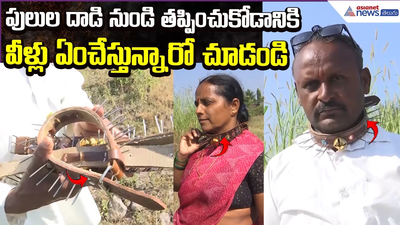 Leopard Attacks: పులులదాడి నుండి తప్పించుకోడానికిఆ వీళ్లుఏంచేస్తున్నారో చూడండి | Asianet News Telugu