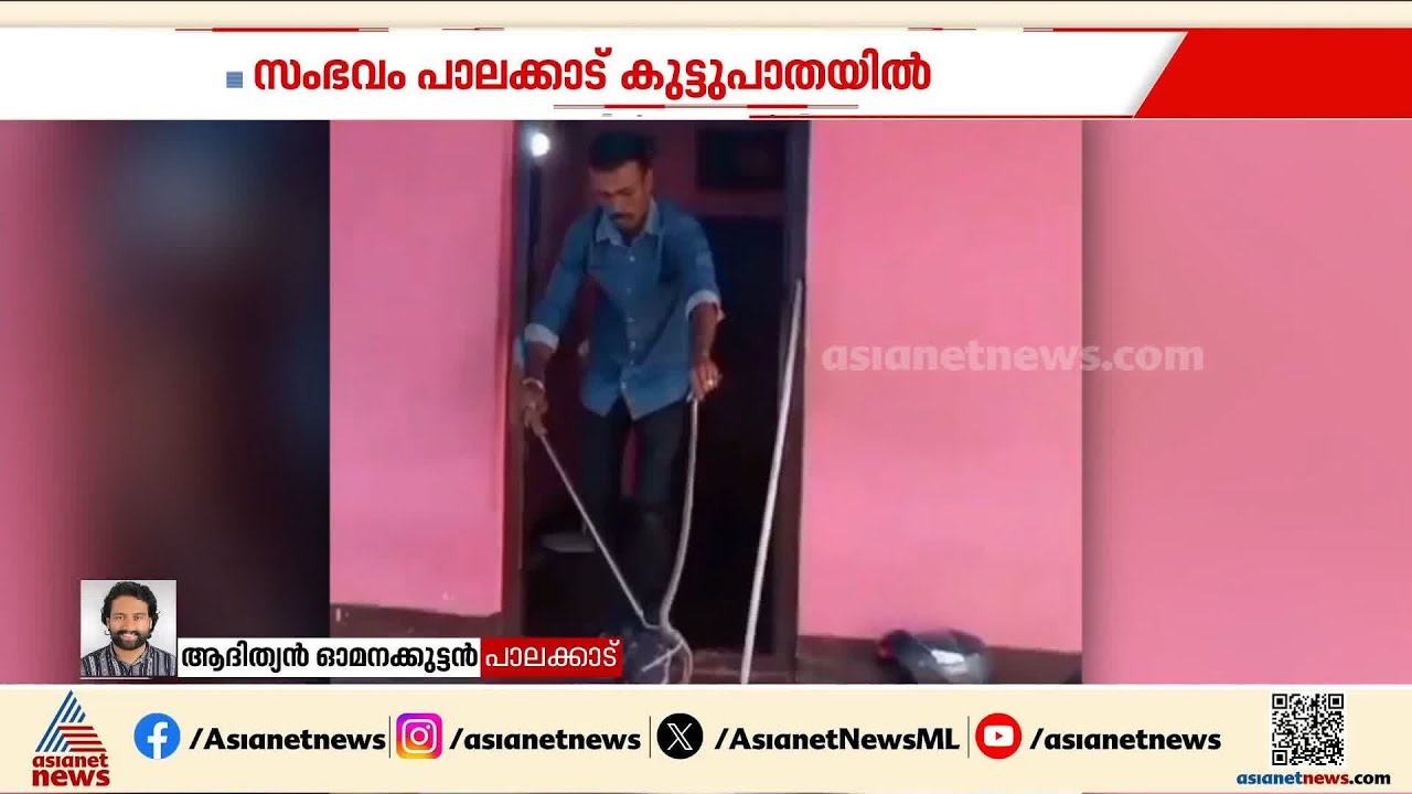 പാലക്കാട് വീടിനകത്ത് കിടപ്പുമുറിയിൽ മൂർഖൻ പാമ്പ്; സർപ്പ വളണ്ടിയർ പാമ്പിനെ പിടികൂടി | Palakkad