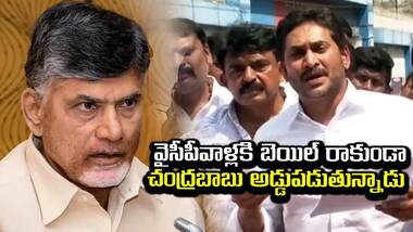 వైసీపీవాళ్లకి బెయిల్ రాకుండా చంద్రబాబు అడ్డుపడుతున్నాడు: YS Jagan on Vamsi Arrest | Asianet Telugu