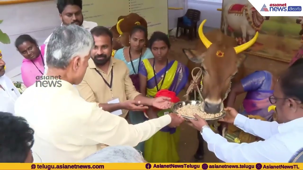 CM Chandrababu Naidu: సీఎం తోనే చిన్నారి పంచ్ లు పడిపడి నవ్విన చంద్రబాబు| Asianet News Telugu