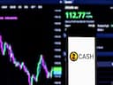 Zcash: Private Money Meets a Public Maze