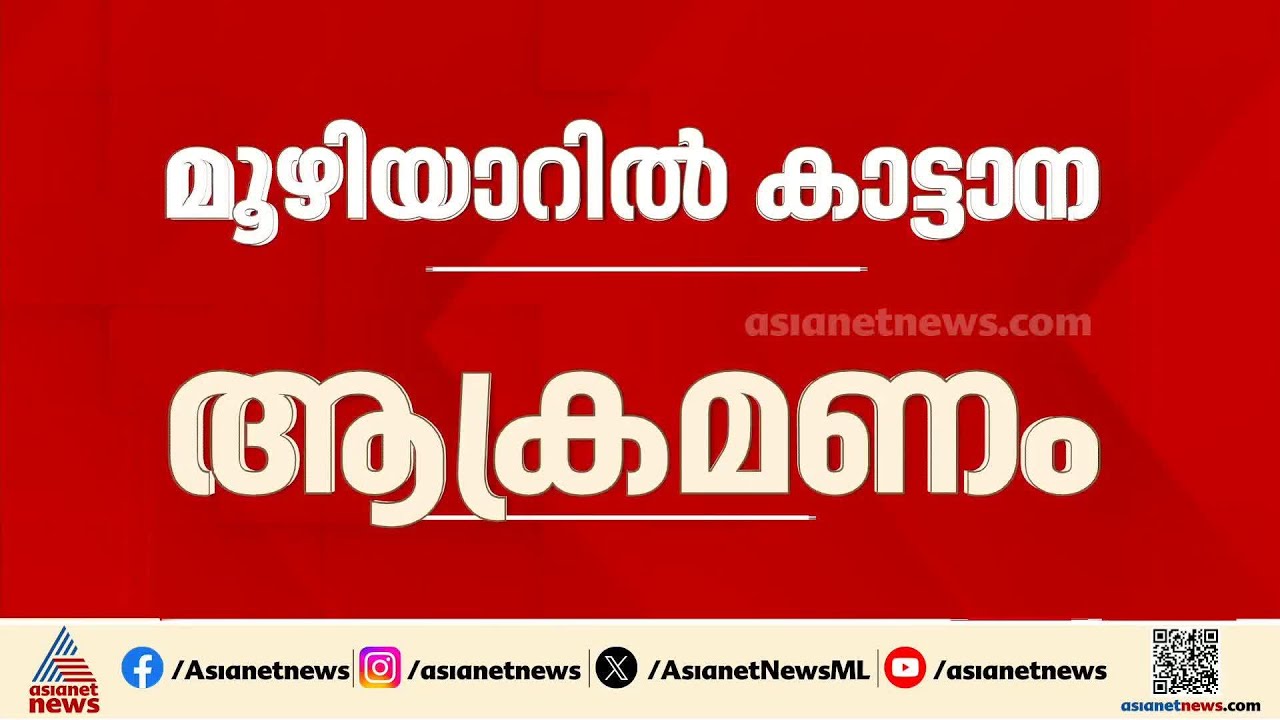 പത്തനംതിട്ടയിൽ കെഎസ്ഇബി ഉദ്യോഗസ്ഥനുനേരെ കാട്ടാന ആക്രമണം | Wild Elephant attack | Pathanamthitta