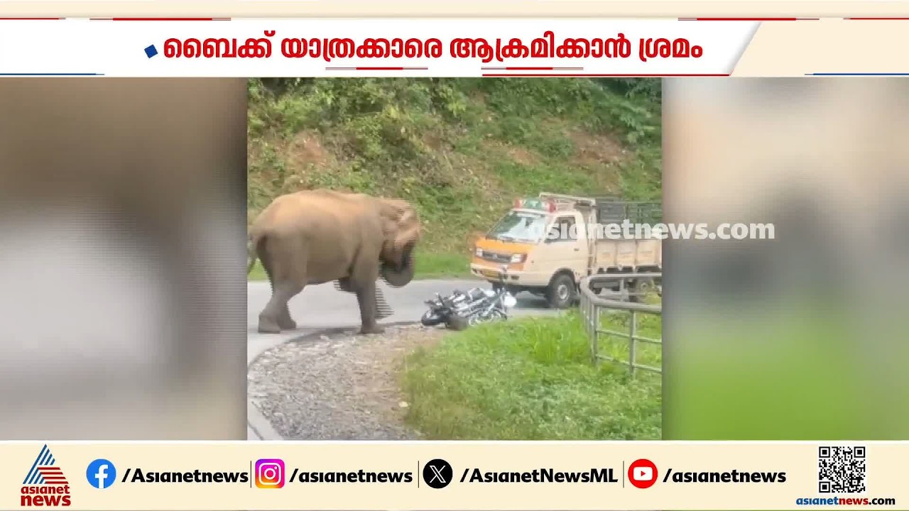 നാടുകാണി ചുരത്തിൽ ബൈക്ക് യാത്രികർക്ക് നേരെ പാഞ്ഞടുത്ത് കാട്ടാന; ഞെട്ടിക്കുന്ന ദൃശ്യങ്ങൾ