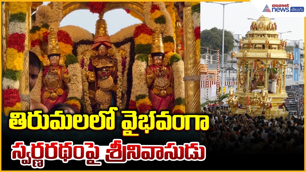 Golden Chariot Tirumala: తిరుమలలో వైభవంగా స్వర్ణరథం పై శ్రీనివాసుడు| Asianet News Telugu