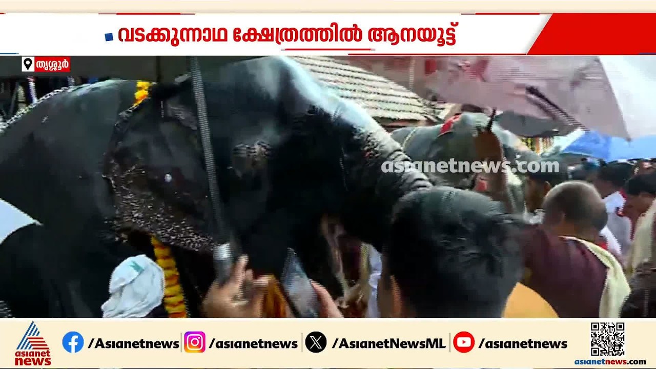 തൃശ്ശൂർ വടക്കുന്നാഥ ക്ഷേത്രത്തിൽ ആനയൂട്ട് നടന്നു; എത്തിയത് 49 ​ഗജവീരൻമാർ | Aanayoottu