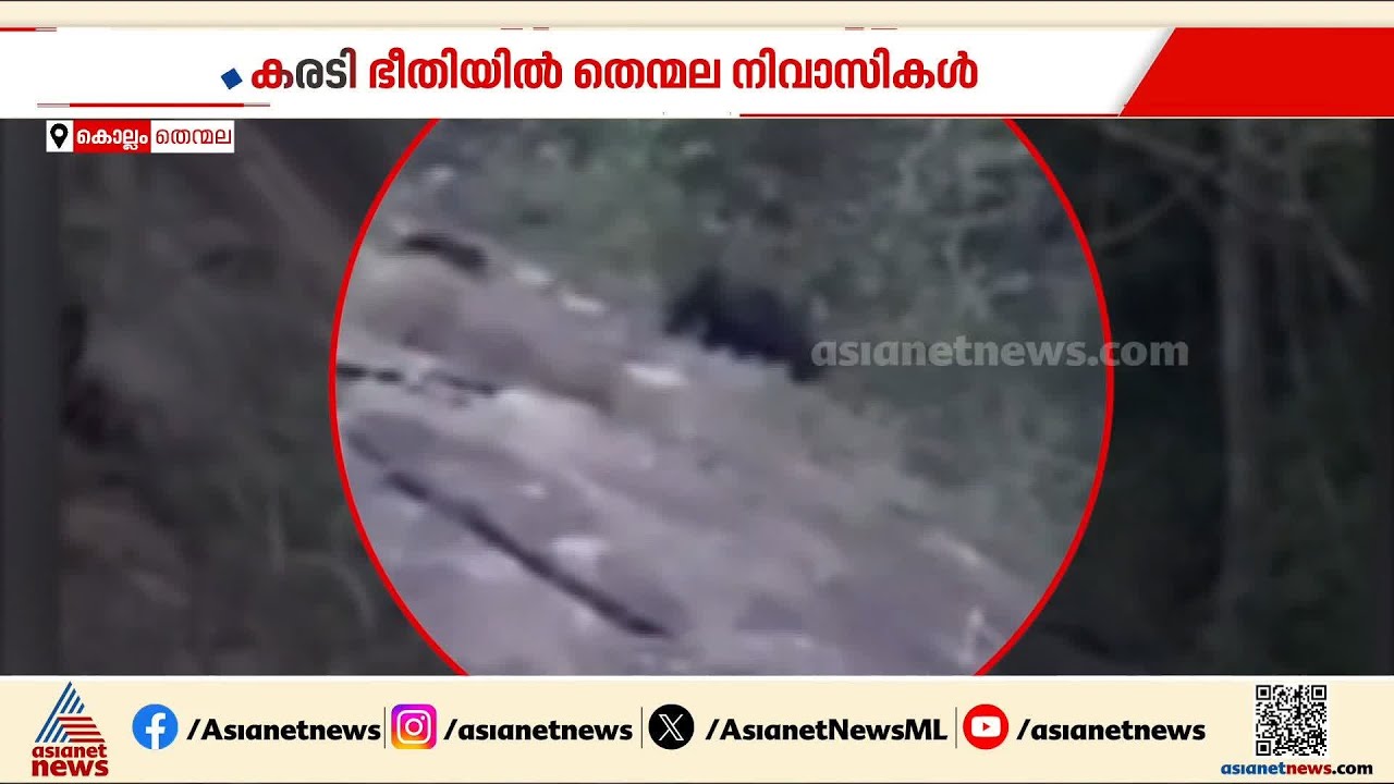 കുടുംബമായി കരടി കഴിയുന്നത് ജനവാസമേഖലയോട് ചേർന്ന്; ഭീതിയിൽ തെന്മലയിലെ ജനങ്ങള്‍