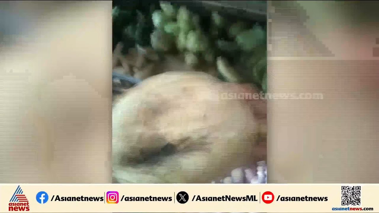 'കോഴിക്കറിയിൽ തൂവൽ, ചപ്പാത്തിയിൽ പ്ലാസ്റ്റിക്, ചോറിൽ പുഴു'; പരാതിയുമായി മൈസൂരുവിലെ വിദ്യാർത്ഥികൾ