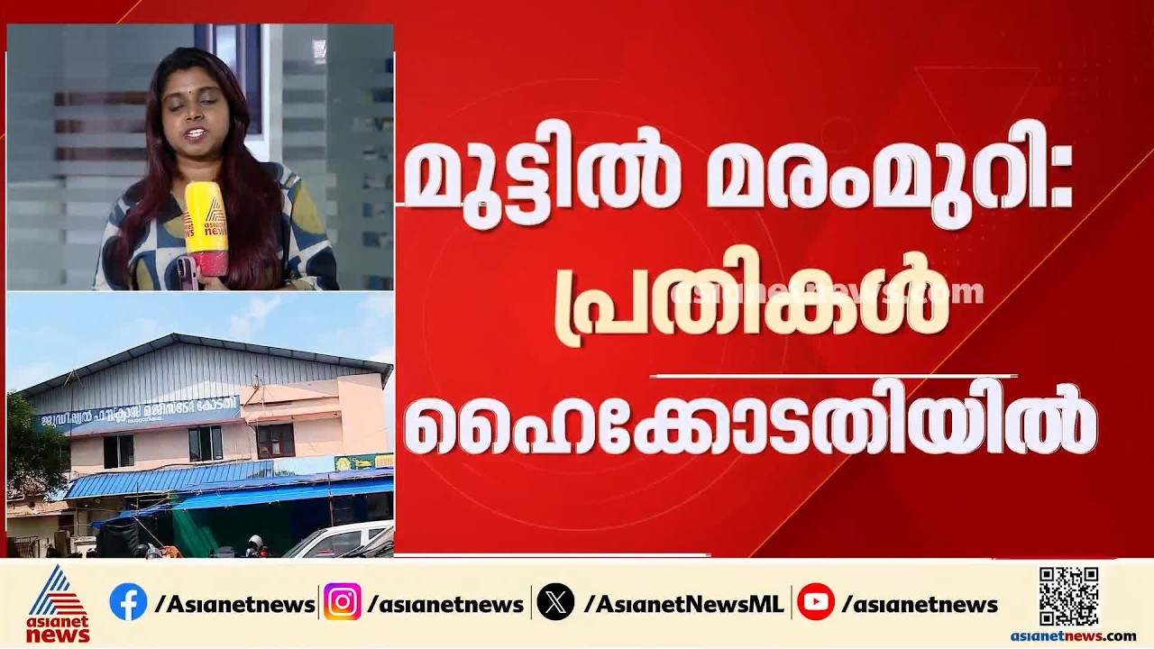 മുട്ടിൽ മരംമുറി കേസ്; വിചാരണ സ്റ്റേ ചെയ്യണമെന്ന പ്രതികളുടെ ഹർജി കോടതി ഇന്ന് പരി​ഗണിക്കും