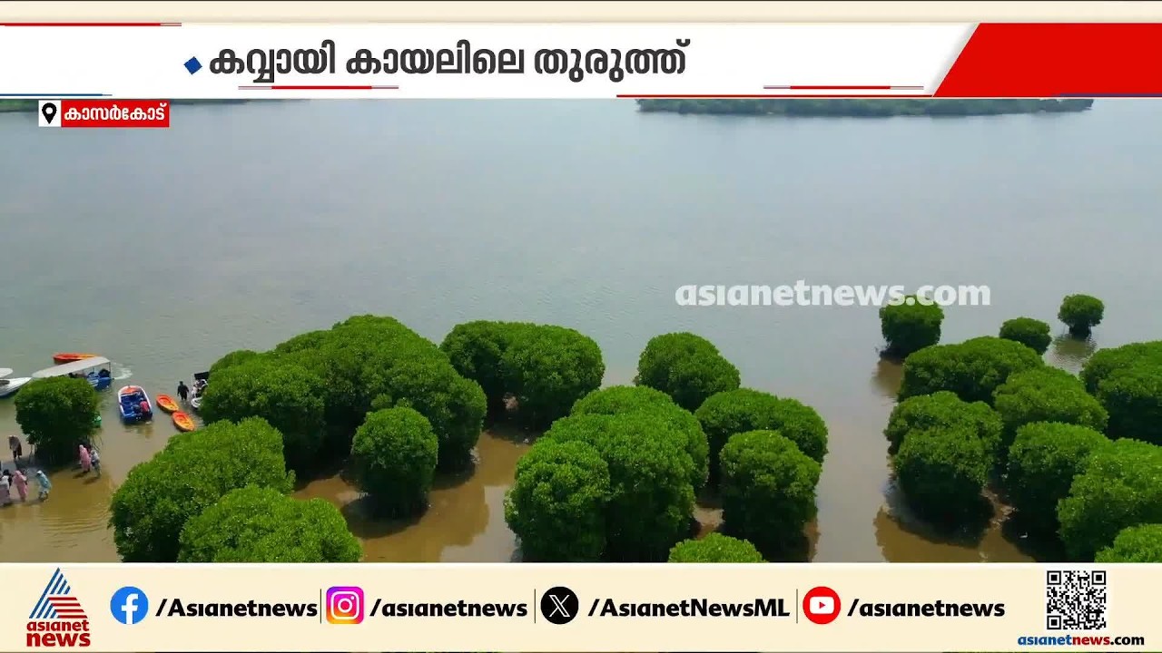 സഞ്ചാരികളെ ഇതിലേ ഇതിലേ...; സഞ്ചാരികളുടെ ഇഷ്ടയിടമായി കവ്വായി കായൽ | Kasaragod | Kavvayi Backwaters