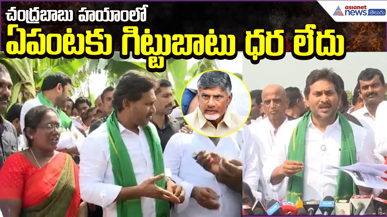 YS Jagan Serious Comments: చంద్రబాబు హయాంలో ఏపంటకు గిట్టుబాటు ధర లేదు | YCP | Asianet News Telugu