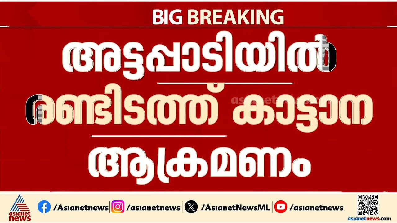 അട്ടപ്പാടിയിൽ രണ്ടിടത്ത് കാട്ടാന ആക്രമണം
