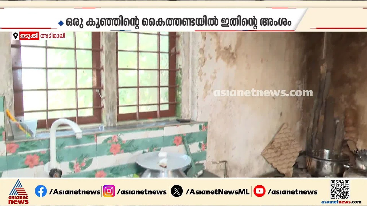 ഇടുക്കി അടിമാലിയിൽ ഇരട്ട കുഞ്ഞുങ്ങളുടെ ദാരുണാന്ത്യം; കീടനാശിനി ഉള്ളിൽ ചെന്നതായി നിഗമനം| Idukki