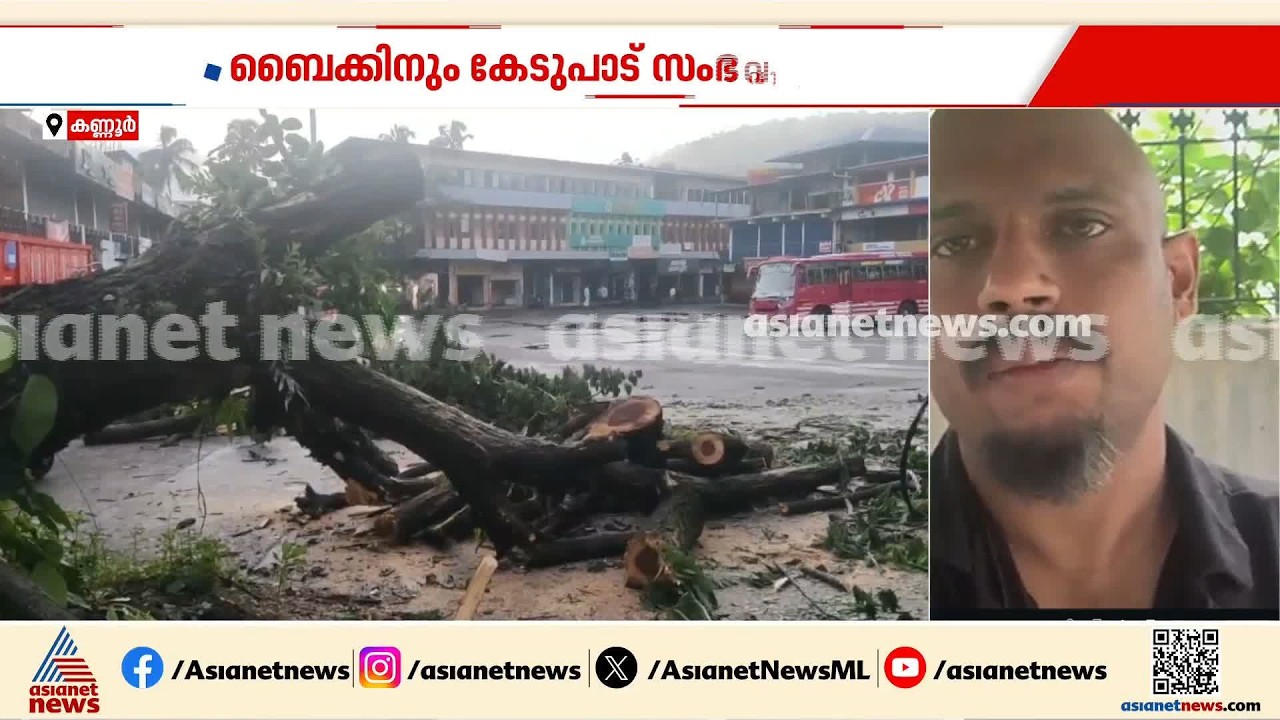 കണ്ണൂര്‍ ചെറുപുഴ ബസ് സ്റ്റാൻഡിൽ മരം കടപുഴകി വീണു; ഒഴിവായത് വലിയ അപകടം