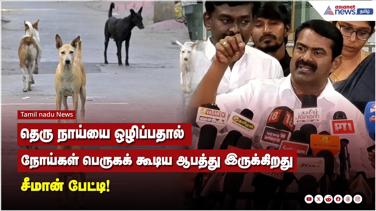 தெரு நாய்யை ஒழிப்பதால், பிளேக் நோய்கள் பெருகக் கூடிய ஆபத்து இருக்கிறது - சீமான் பேட்டி