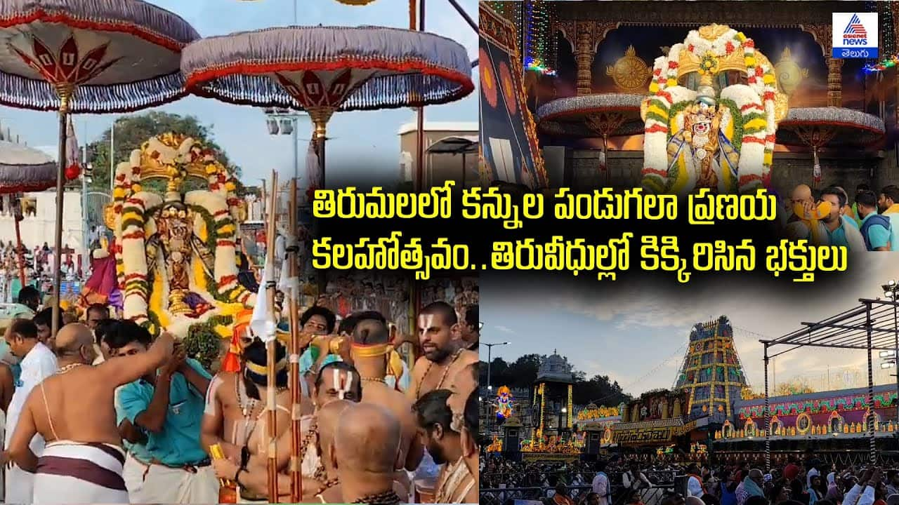 Tirumala's Pranaya Kalahotsavam: A Grand Spectacle II