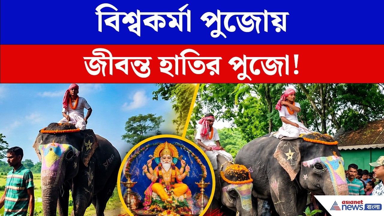 বিশ্বকর্মা পুজোয় জীবন্ত হাতির পুজো! বীর-কাবেরীকে দেখতে উপচে পড়ল ভিড় | Vishwakarma Puja 2026