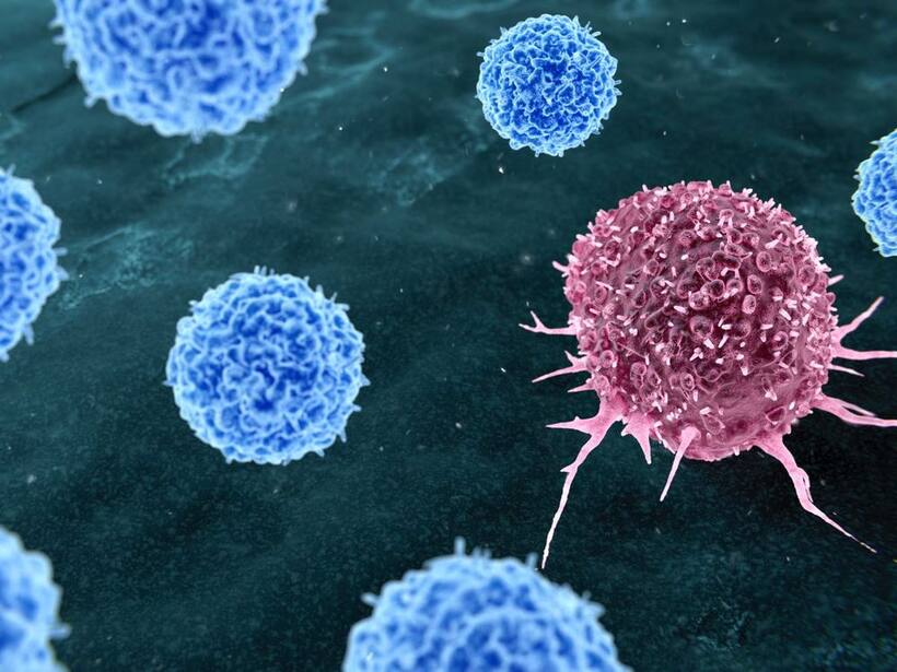 https://stocktwits.com/news articles/markets/equity/uro gen pharma stock scores bullish price target revisions up to 47 following fda nod for zusduri/chlngD1RRbU