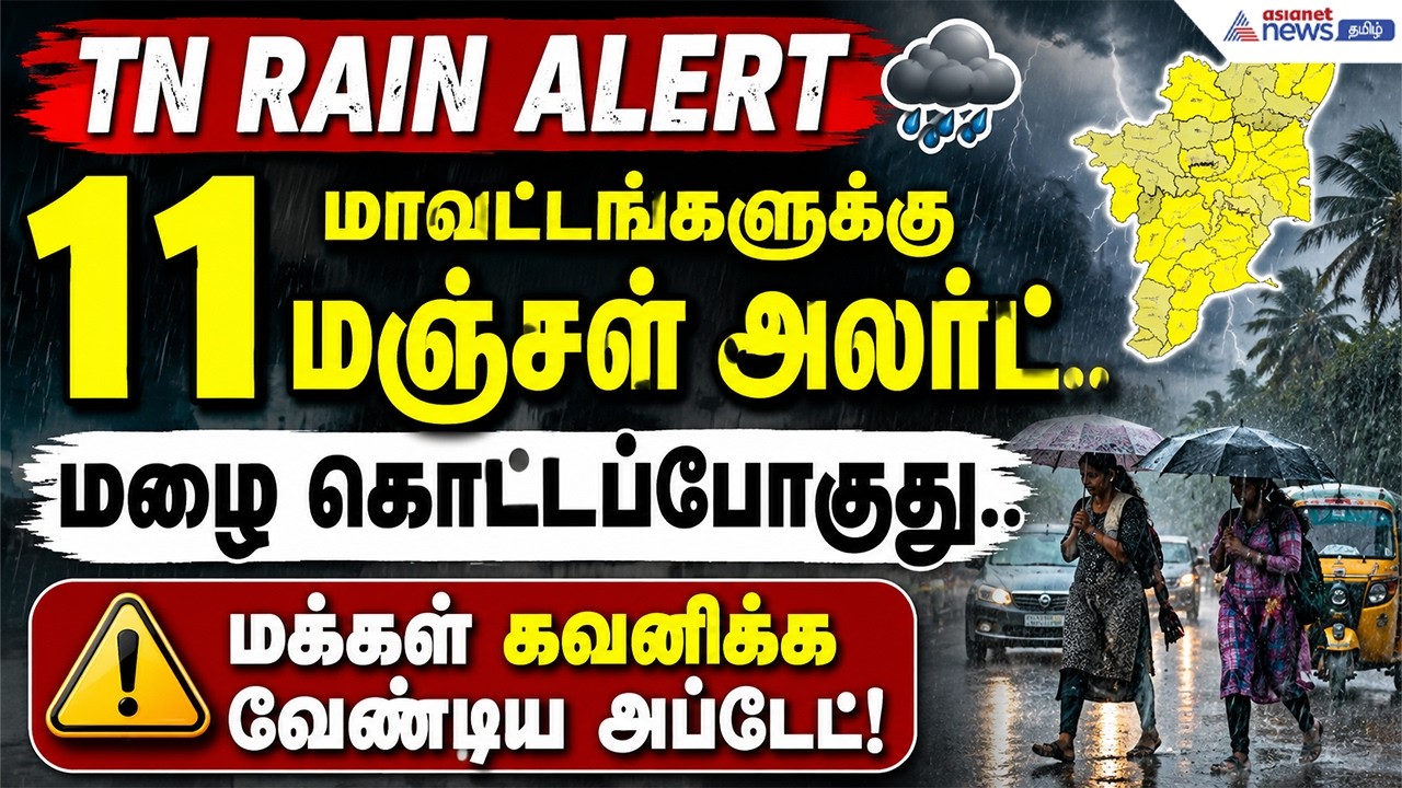 TN Rain Aert : 11 மாவட்டங்களுக்கு மஞ்சள் அலர்ட்.. மழை கொட்டப்போகுது.. மக்கள் கவனிக்க வேண்டிய அப்டேட்