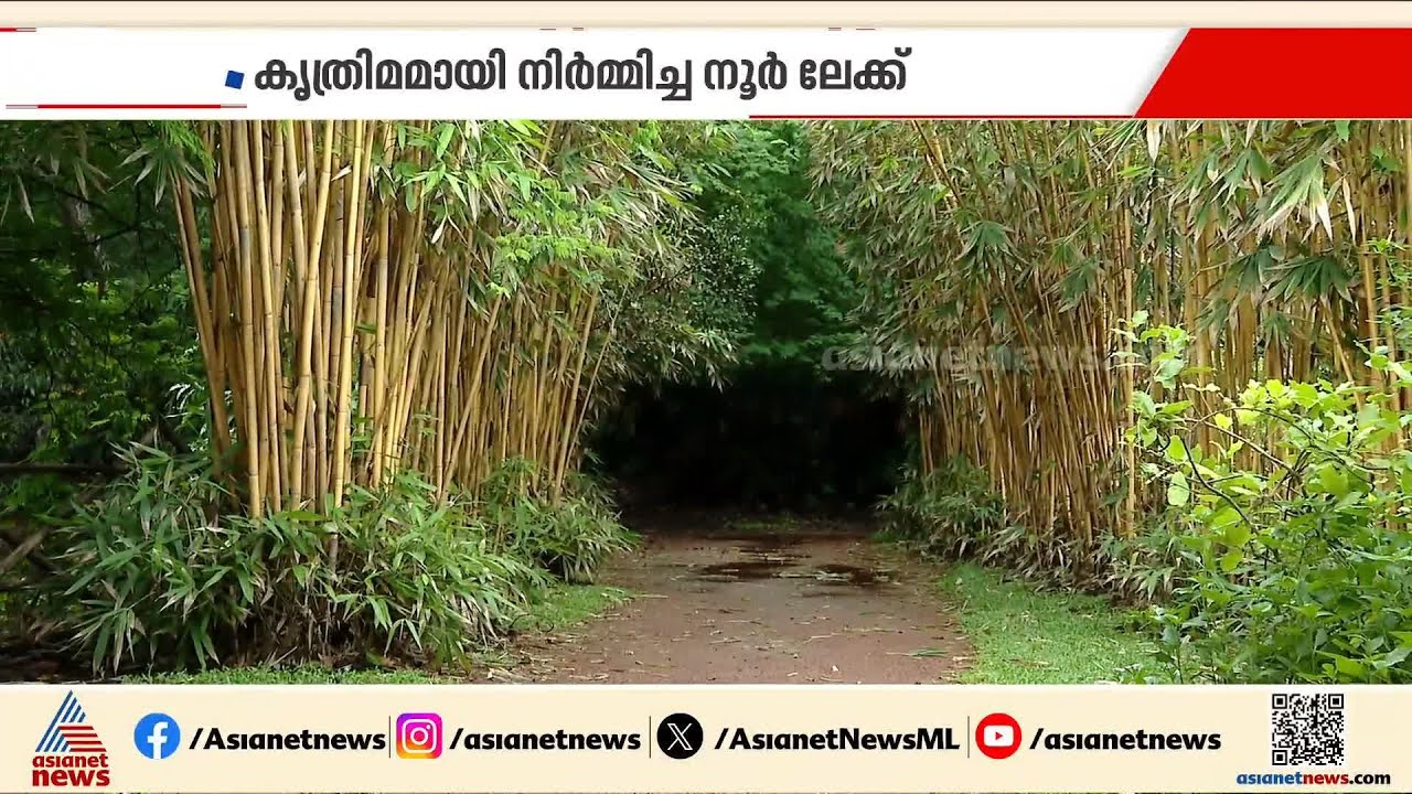 മുളങ്കൂട്ടങ്ങൾ കൊണ്ടൊരു കാട്,കിളികളുടെ ശബ്ദം കേട്ട് മൺപാതകളിലൂടെ നടക്കാം...നൂർ ലേക്കിലേക്ക് പോന്നോളൂ