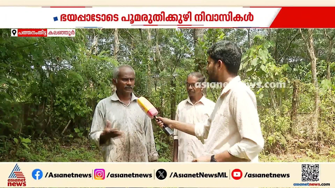 വന്യമൃഗശല്യത്തിൽ ഭീതിയോടെ പൂമരുതിക്കുഴി നിവാസികൾ; ശല്യക്കാരായി കുരങ്ങുമുതൽ ആന വരെ