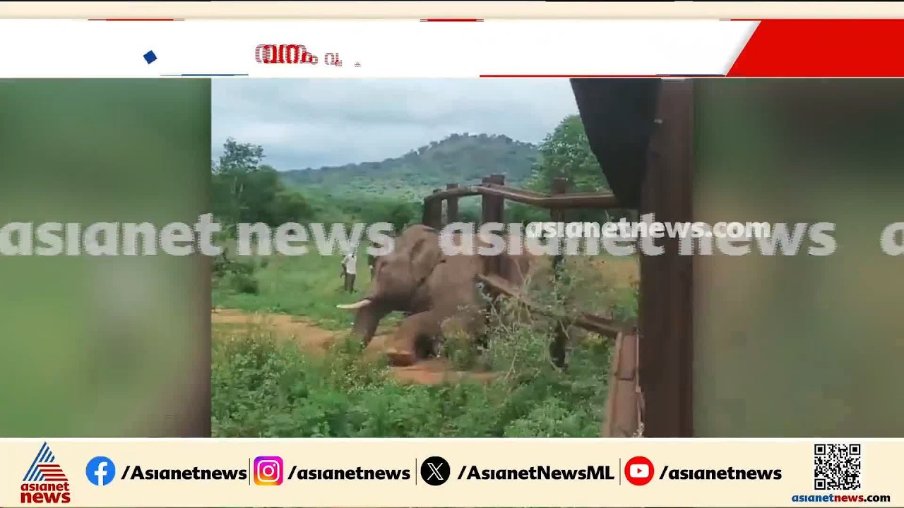 'എന്‍റെ ഐഡിയ ആയിപ്പോയി'  റെയില്‍വെ ബാരിക്കേഡിനിടയില്‍ കാട്ടാന കുടുങ്ങി | Wild Elephant