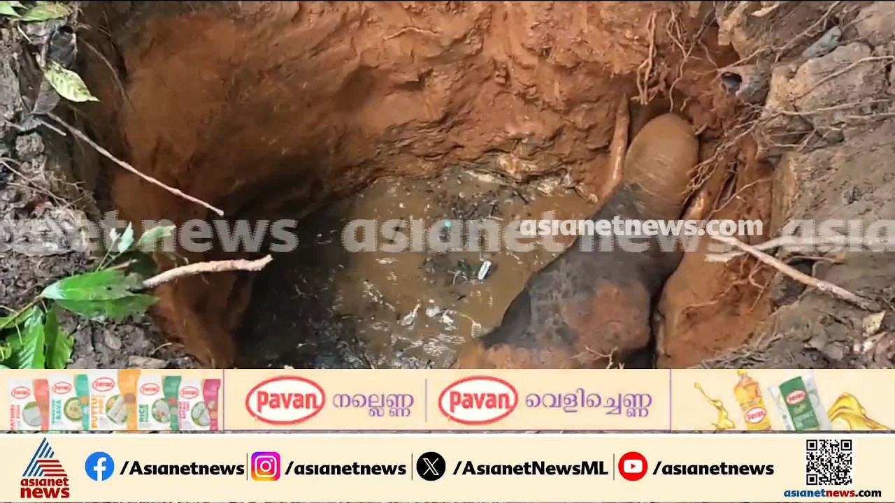 കുട്ടമ്പുഴയില്‍ കാട്ടാന വീട്ടിലെ കിണറ്റില്‍ വീണു; കരകയറ്റാന്‍ ശ്രമം തുടരുന്നു