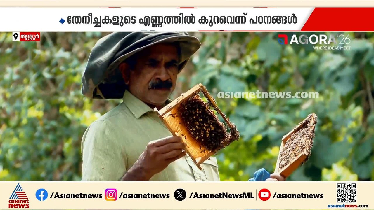 ലോകത്ത് തേനീച്ചകൾ ഇല്ലാതായാലോ? മനുഷ്യരെ എങ്ങനെ ബാധിക്കും? വരൂ ഉത്തരം അഗോറയിലുണ്ട് | Agora