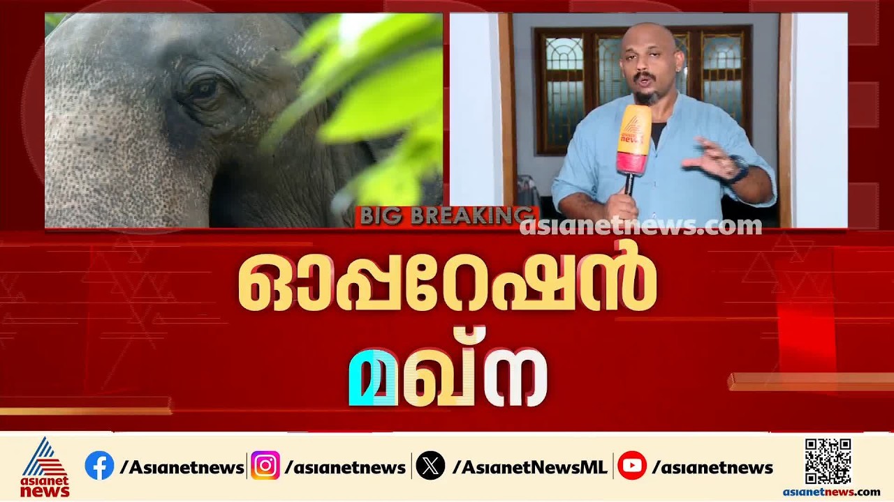 KM1 ആനയെ പിടികൂടാൻ ആറളത്ത് കഠിനശ്രമം; ആനയുള്ളത് ഉൾവനത്തിൽ