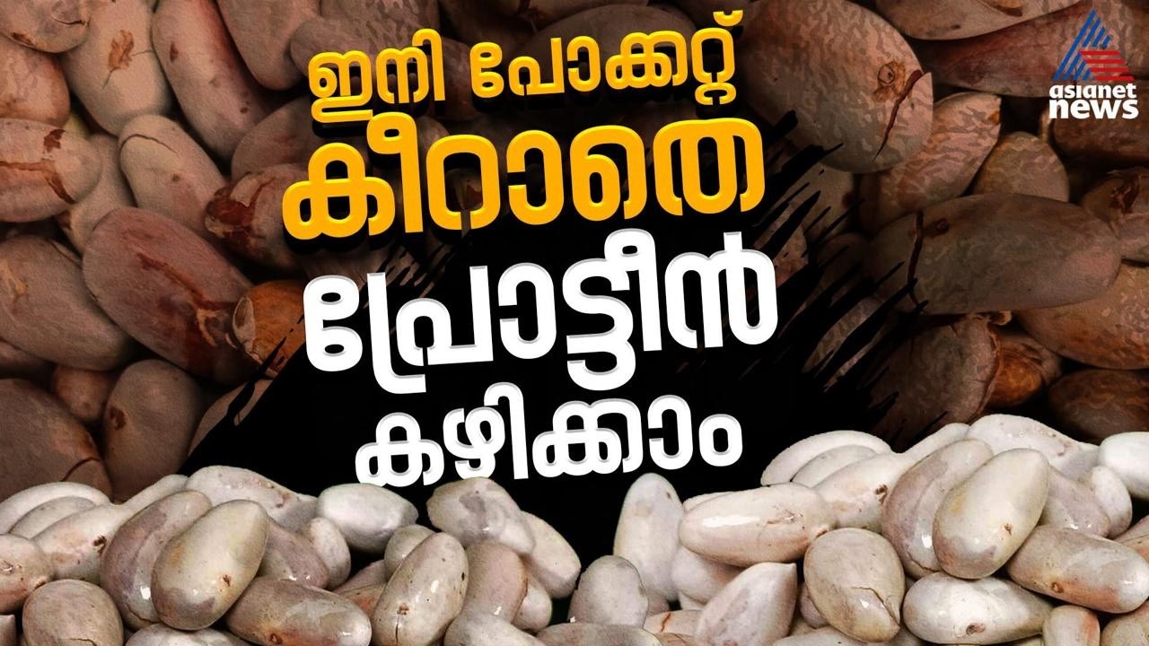 പോക്കറ്റ് കീറാതെ പ്രോട്ടീൻ കഴിക്കാം; നിസ്സാരക്കാരനല്ല ചക്കക്കുരു