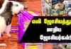 Rat Astrology Draws Crowds in Dindigul, India