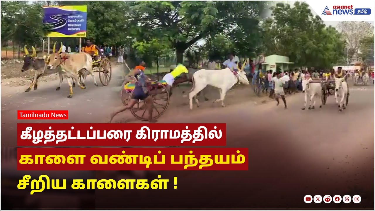 தூத்துக்குடி | கீழத்தட்டப்பரை கிராமத்தில் காளை வண்டிப் பந்தயம் ...சீறிய காளைகள் !